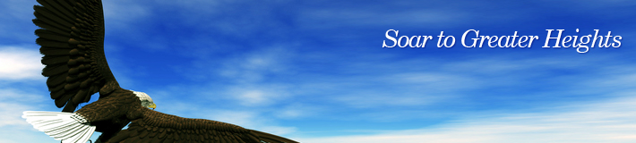banner_about