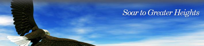 banner_about